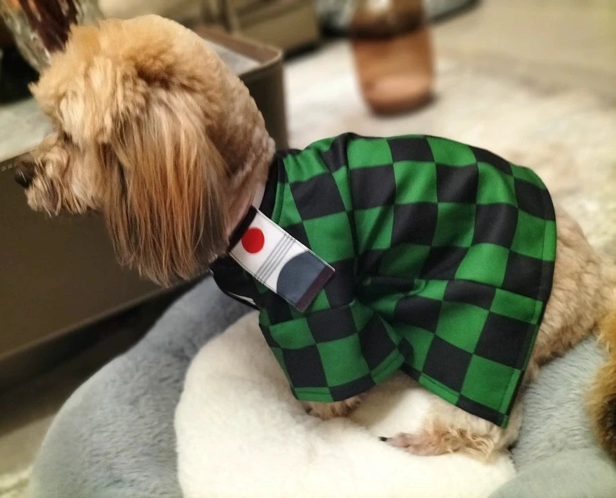 Kimetsu no Yaiba anime pet cosplay kimono — full outfit