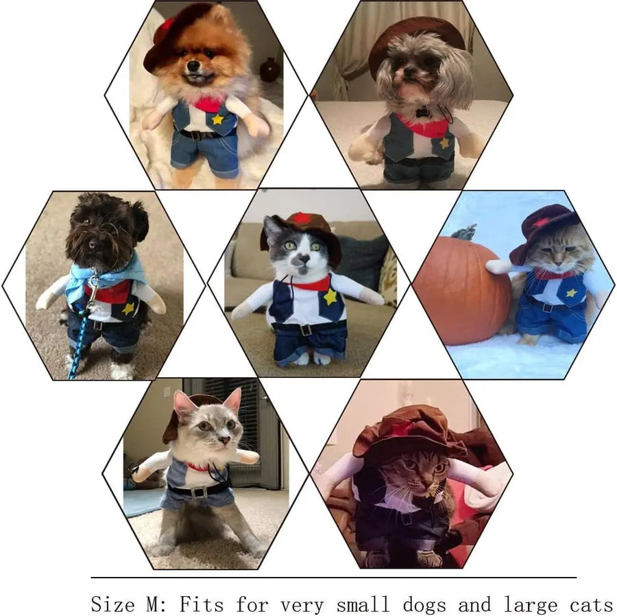 Cowboy Rider Pet Costume - Funny Halloween Outfit for Cats & Dogs