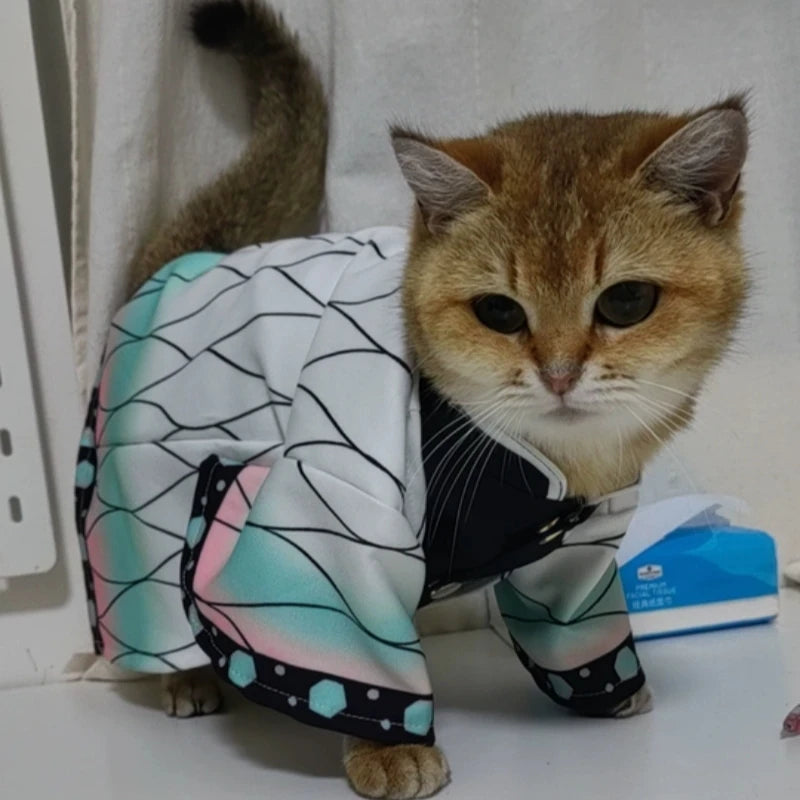 Zenitsu Demon Slayer pet kimono cosplay on cat — side view