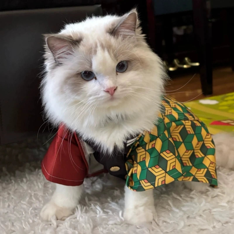 Zenitsu Demon Slayer pet kimono cosplay on dog — front view