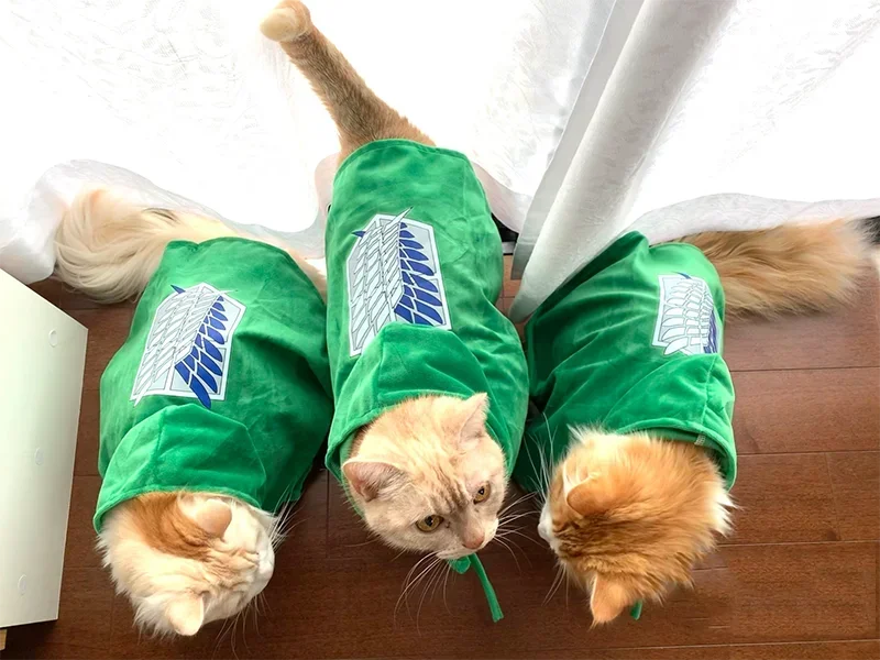 Survey Corps Pet Cape — Attack on Titan Anime Cosplay for Dogs & Cats