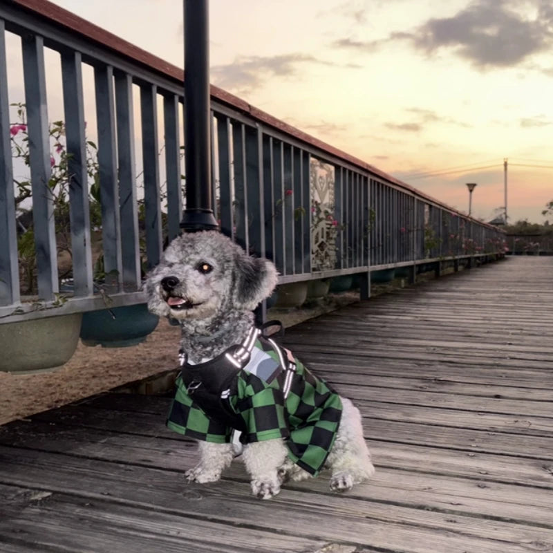 Zenitsu yellow Thunder Breathing kimono for pets — detail